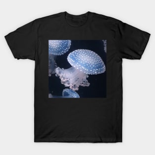 Jellyfish T-Shirt